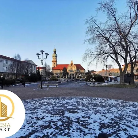 Apartament Miedziany *