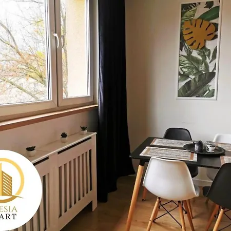 Apartament Miedziany