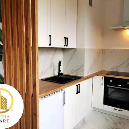 Apartament Miedziany Apartment