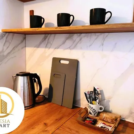 Miedziany Appartement *