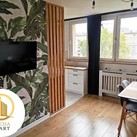 Apartament Miedziany *