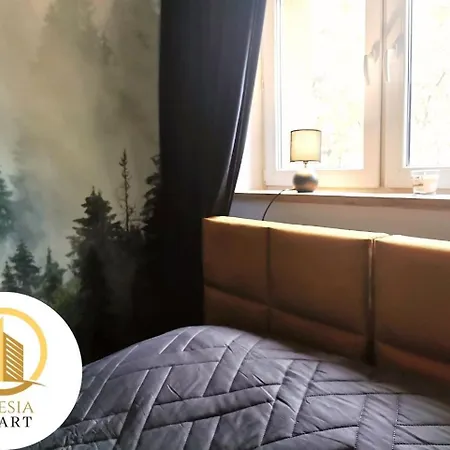 Apartament Miedziany Apartment *