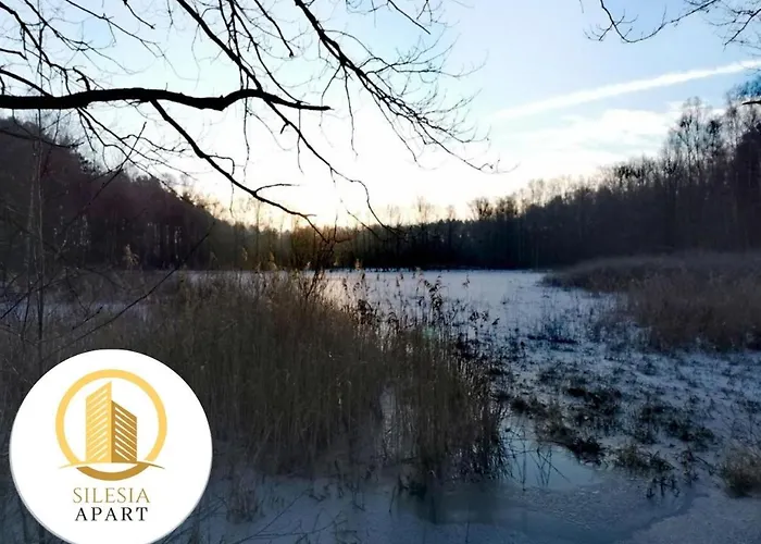 Miedziany Διαμέρισμα